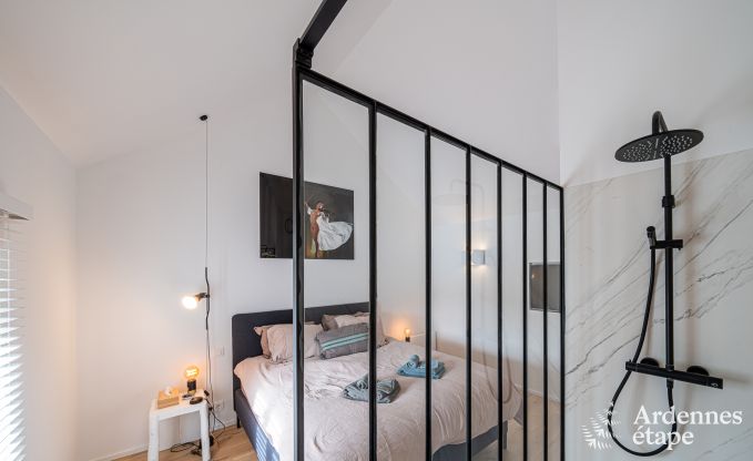 Exceptionnelle maison de charme  Profondeville pour 4 personnes avec jacuzzi, cabine infrarouge et ponton sur la Meuse