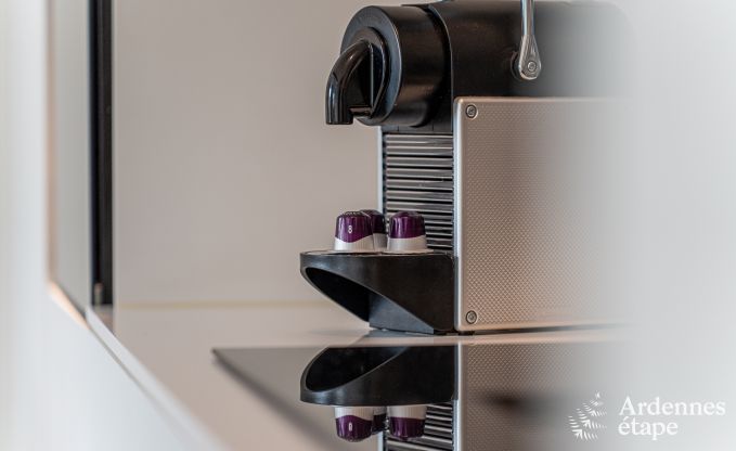 Exceptionnelle maison de charme  Profondeville pour 4 personnes avec jacuzzi, cabine infrarouge et ponton sur la Meuse