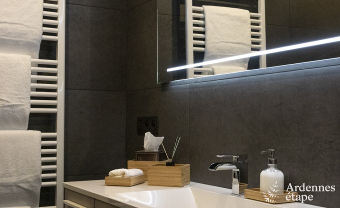 Gite haut de gamme  Profondeville pour 5 personnes en Ardenne