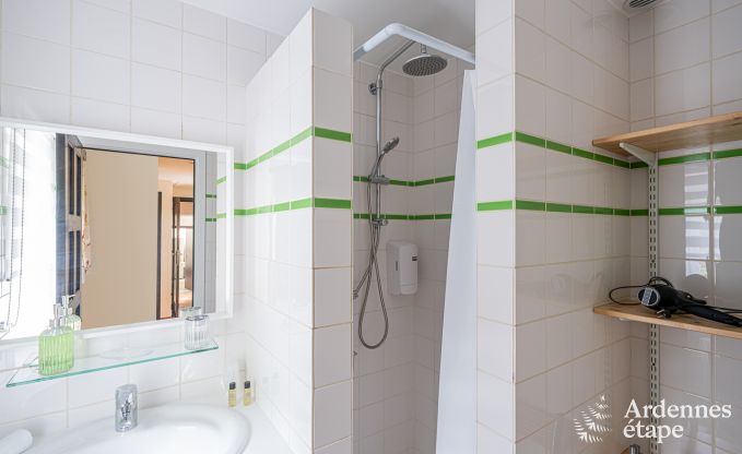 Gite avec sauna et jacuzzi � Profondeville pour 4/6 personnes en Ardenne