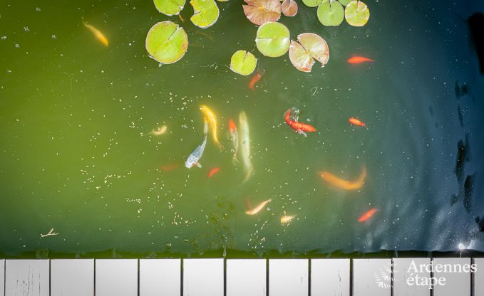 Maison de vacances  Profondeville pour 8/9 personnes en Ardenne