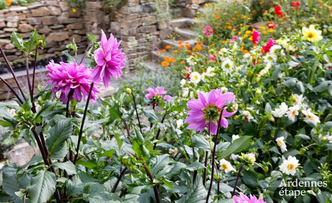 Maison de vacances � Redu pour 12 personnes en Ardenne