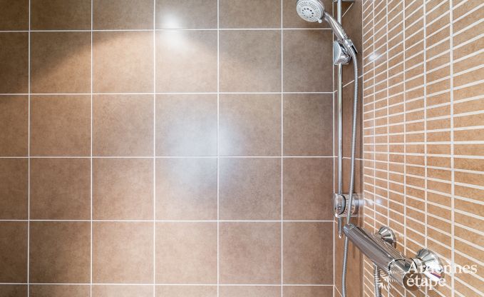 Maison de vacances  Redu pour 15 personnes en Ardenne