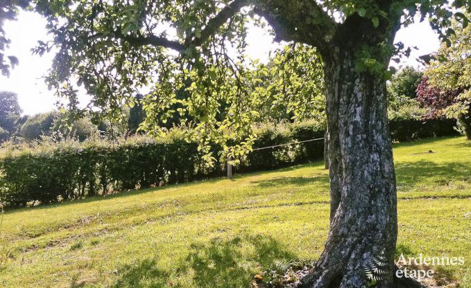Maison de vacances  Redu pour 15 personnes en Ardenne