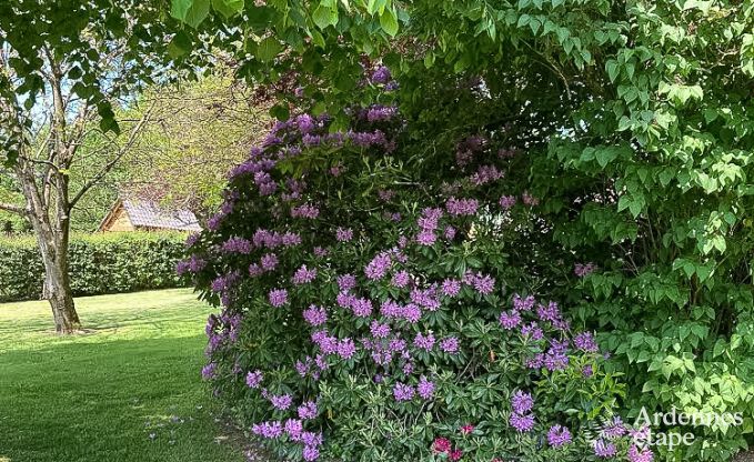 Maison de vacances  Redu pour 15 personnes en Ardenne