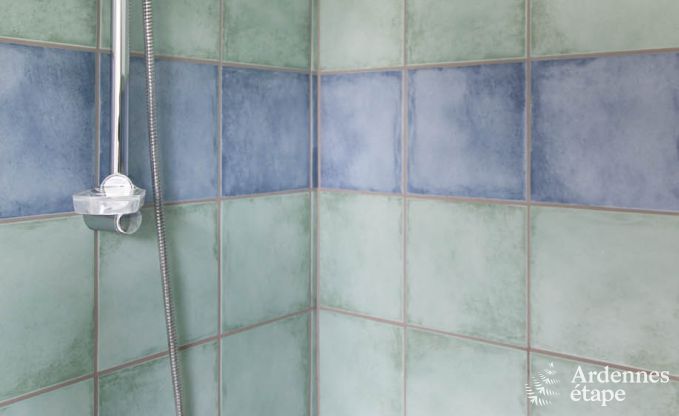 Maison de vacances � Redu pour 11 personnes en Ardenne