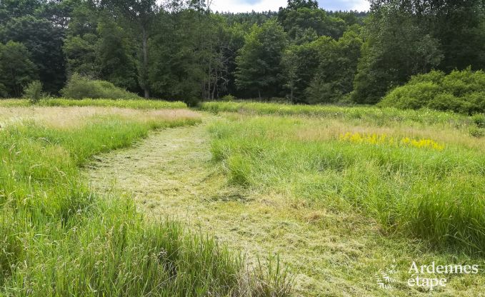 Maison de vacances � Redu pour 14 personnes en Ardenne