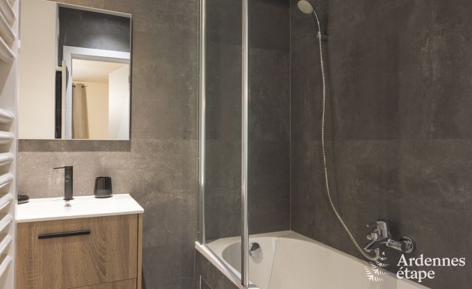 Maison de vacances avec jardin, barbecue et chemin�e � Redu, Ardenne