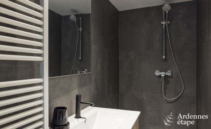 Maison de vacances avec jardin, barbecue et chemin�e � Redu, Ardenne