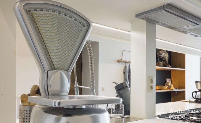 Maison de vacances avec jardin, barbecue et chemin�e � Redu, Ardenne