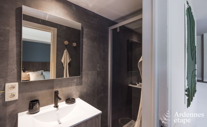 Maison de vacances avec jardin, barbecue et chemin�e � Redu, Ardenne