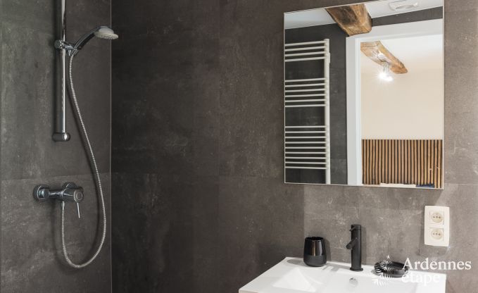 Maison de vacances avec jardin, barbecue et chemin�e � Redu, Ardenne