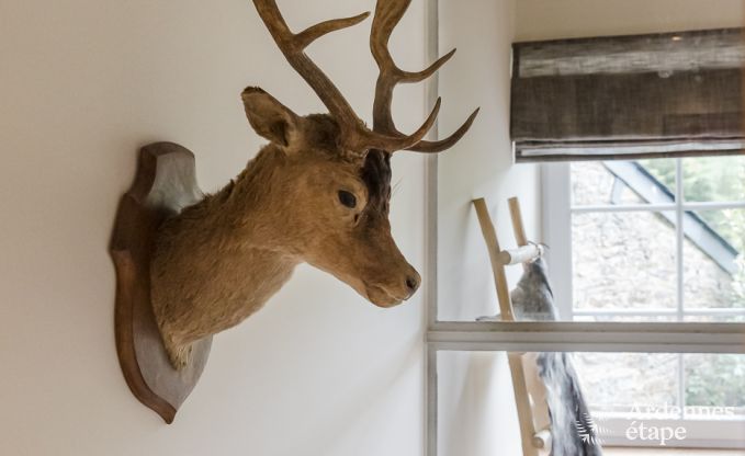 Maison de vacances avec jardin, barbecue et chemin�e � Redu, Ardenne