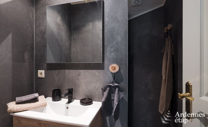 Maison de vacances avec jardin, barbecue et chemin�e � Redu, Ardenne