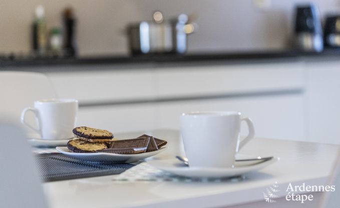 Maison de vacances � Redu pour 15 personnes en Ardenne