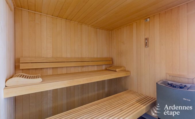 Villa haut de gamme  Redu, Ardenne, 9 personnes, piscine extrieure, sauna, hammam, jacuzzi intrieur et extrieur, jardin priv, quipements complets