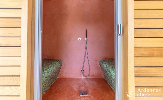 Villa haut de gamme  Redu, Ardenne, 9 personnes, piscine extrieure, sauna, hammam, jacuzzi intrieur et extrieur, jardin priv, quipements complets