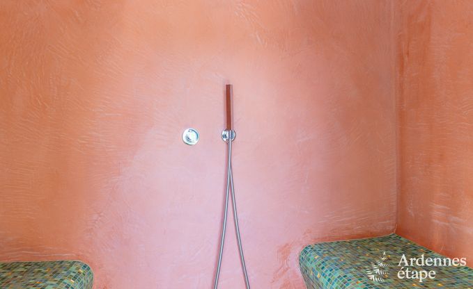 Villa haut de gamme � Redu, Ardenne, 9 personnes, piscine ext�rieure, sauna, hammam, jacuzzi int�rieur et ext�rieur, jardin priv�, �quipements complets