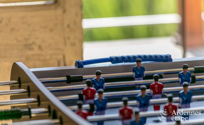 Villa haut de gamme � Redu, Ardenne, 9 personnes, piscine ext�rieure, sauna, hammam, jacuzzi int�rieur et ext�rieur, jardin priv�, �quipements complets