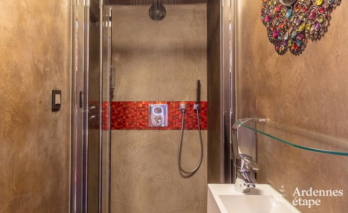 Villa haut de gamme � Redu, Ardenne, 9 personnes, piscine ext�rieure, sauna, hammam, jacuzzi int�rieur et ext�rieur, jardin priv�, �quipements complets