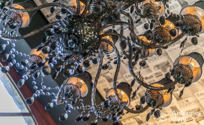 Villa haut de gamme � Redu, Ardenne, 9 personnes, piscine ext�rieure, sauna, hammam, jacuzzi int�rieur et ext�rieur, jardin priv�, �quipements complets