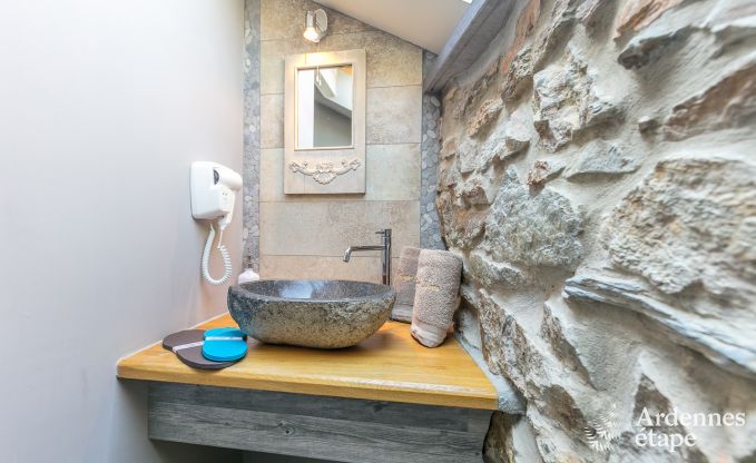 Villa haut de gamme � Redu, Ardenne, 9 personnes, piscine ext�rieure, sauna, hammam, jacuzzi int�rieur et ext�rieur, jardin priv�, �quipements complets