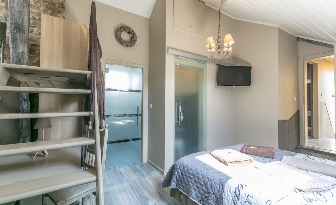 Villa haut de gamme � Redu, Ardenne, 9 personnes, piscine ext�rieure, sauna, hammam, jacuzzi int�rieur et ext�rieur, jardin priv�, �quipements complets