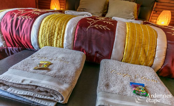 Villa haut de gamme � Redu, Ardenne, 9 personnes, piscine ext�rieure, sauna, hammam, jacuzzi int�rieur et ext�rieur, jardin priv�, �quipements complets