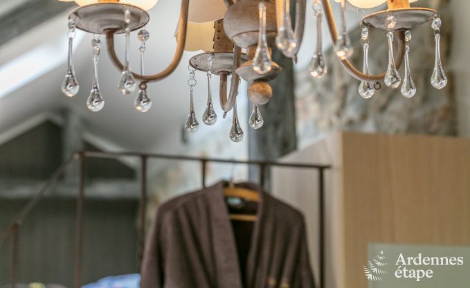 Villa haut de gamme � Redu, Ardenne, 9 personnes, piscine ext�rieure, sauna, hammam, jacuzzi int�rieur et ext�rieur, jardin priv�, �quipements complets