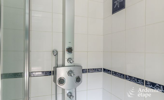 Villa haut de gamme � Redu, Ardenne, 9 personnes, piscine ext�rieure, sauna, hammam, jacuzzi int�rieur et ext�rieur, jardin priv�, �quipements complets