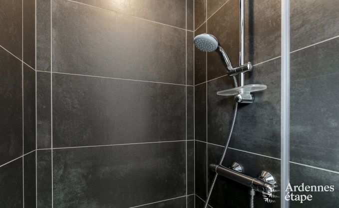 Maison de vacances  Redu pour 14 personnes en Ardenne