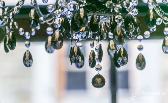 Villa haut de gamme  Redu, Ardenne, 9 personnes, piscine extrieure, sauna, hammam, jacuzzi intrieur et extrieur, jardin priv, quipements complets