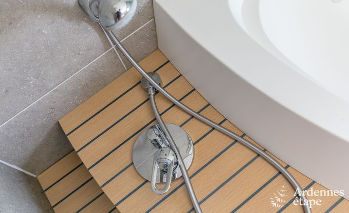 Villa haut de gamme  Redu, Ardenne, 9 personnes, piscine extrieure, sauna, hammam, jacuzzi intrieur et extrieur, jardin priv, quipements complets