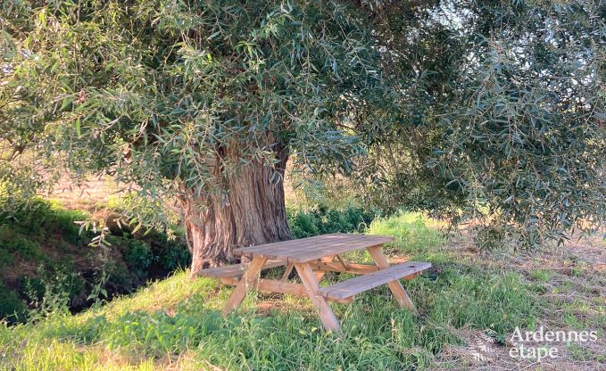 Gite de charme � Remicourt pour 5 personnes en Ardenne