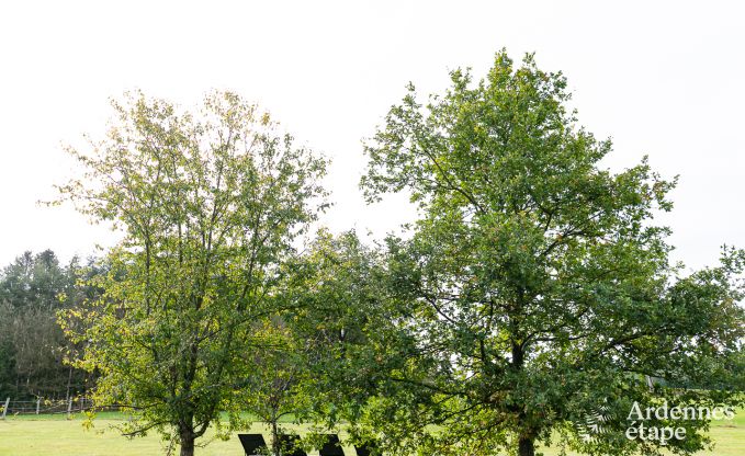 Maison de vacances � Rendeux pour 9 personnes en Ardenne