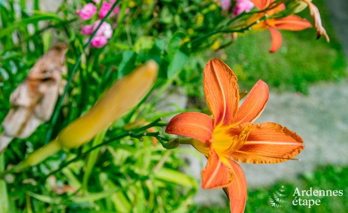 Maison de vacances  Rendeux, Ardenne, 6 personnes, 2 chambres, jardin priv, quipements bb, terrasse avec barbecue