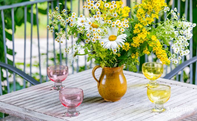 Maison de vacances  Rendeux, Ardenne, 6 personnes, 2 chambres, jardin priv, quipements bb, terrasse avec barbecue