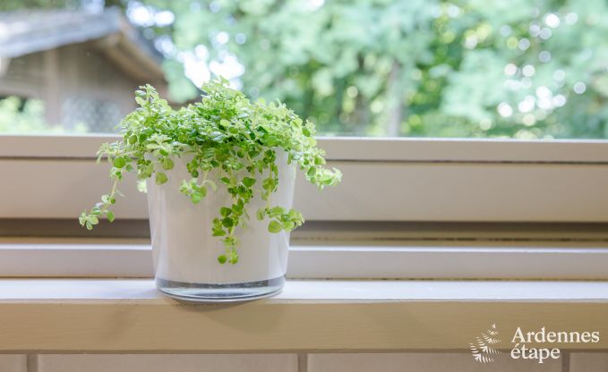 Maison de vacances � Robertville pour 6 personnes en Ardenne