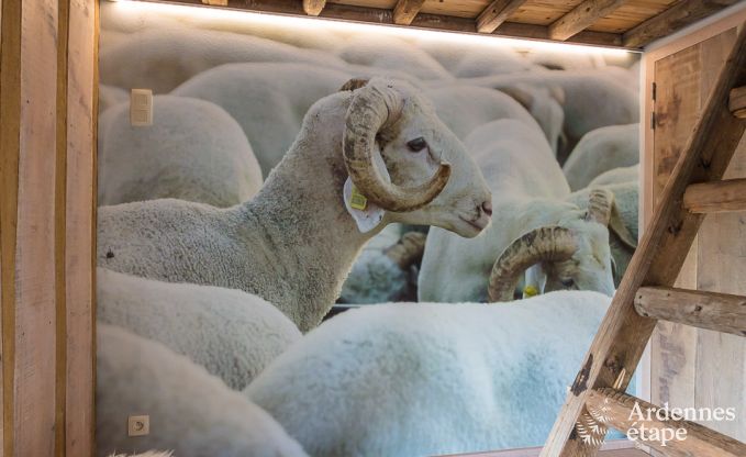 Maison de vacances  Robertville pour 9 personnes en Ardenne