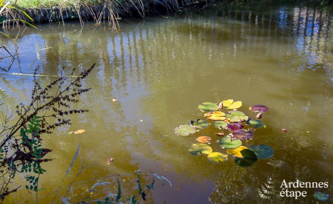 Maison de vacances  Robertville pour 31/34 personnes en Ardenne