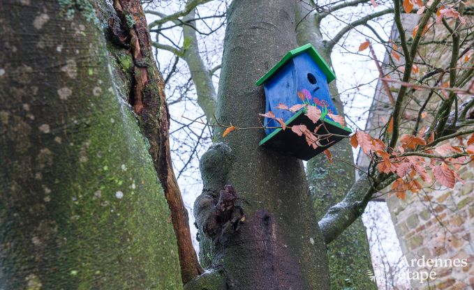 Maison de vacances � Robertville pour 14 personnes en Ardenne