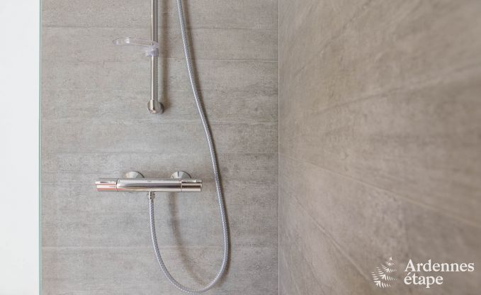 Villa de Luxe  Robertville pour 12 personnes en Ardenne