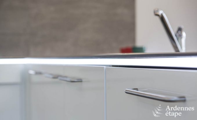 Villa de Luxe  Robertville pour 12 personnes en Ardenne