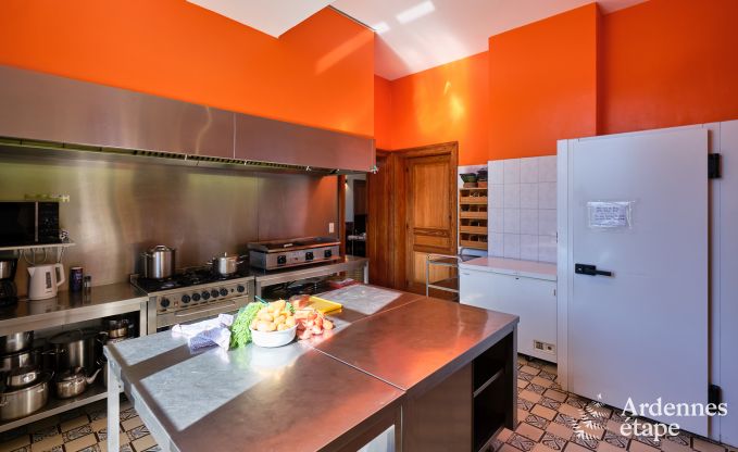 Ch�teau � Rochefort pour 48 personnes en Ardenne