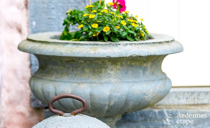 Gite de charme � Rochefort pour 15 personnes en Ardenne