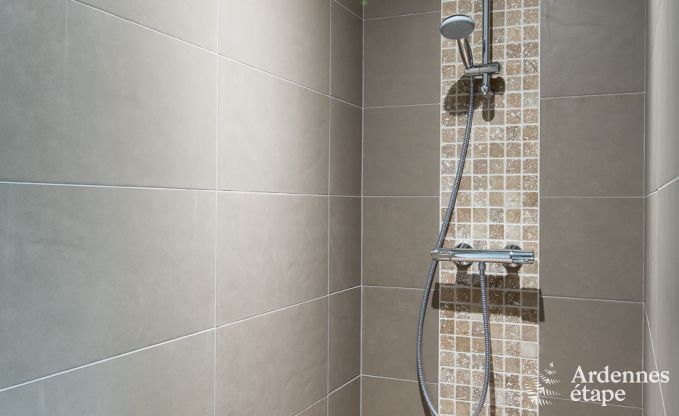 Gite de charme � Rochefort pour 21 personnes en Ardenne