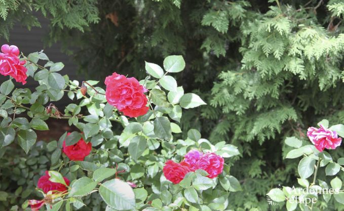 Maison de vacances  Rochefort pour 7 personnes en Ardenne