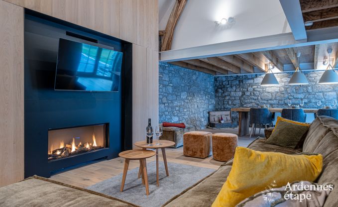 Charmante maison de vacances avec baby-foot, billard, feu cassette et jardin priv� � Rochefort : convient pour 6 personnes