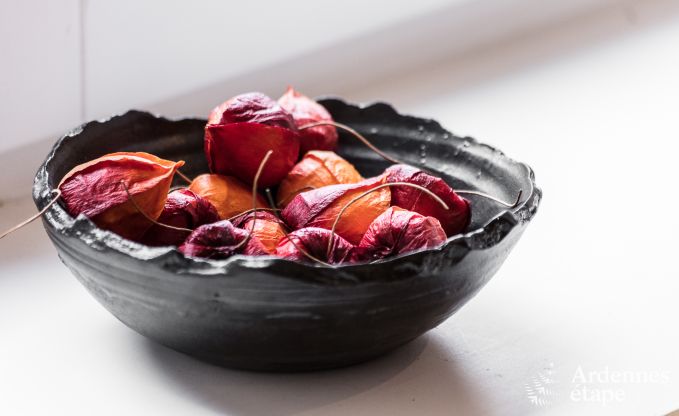 Maison de vacances � Rochefort pour 14 personnes en Ardenne