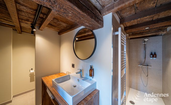 Grande maison de vacances  Rochefort pour 25 personnes avec 11 chambres, 11 salles de bains, sauna et bar